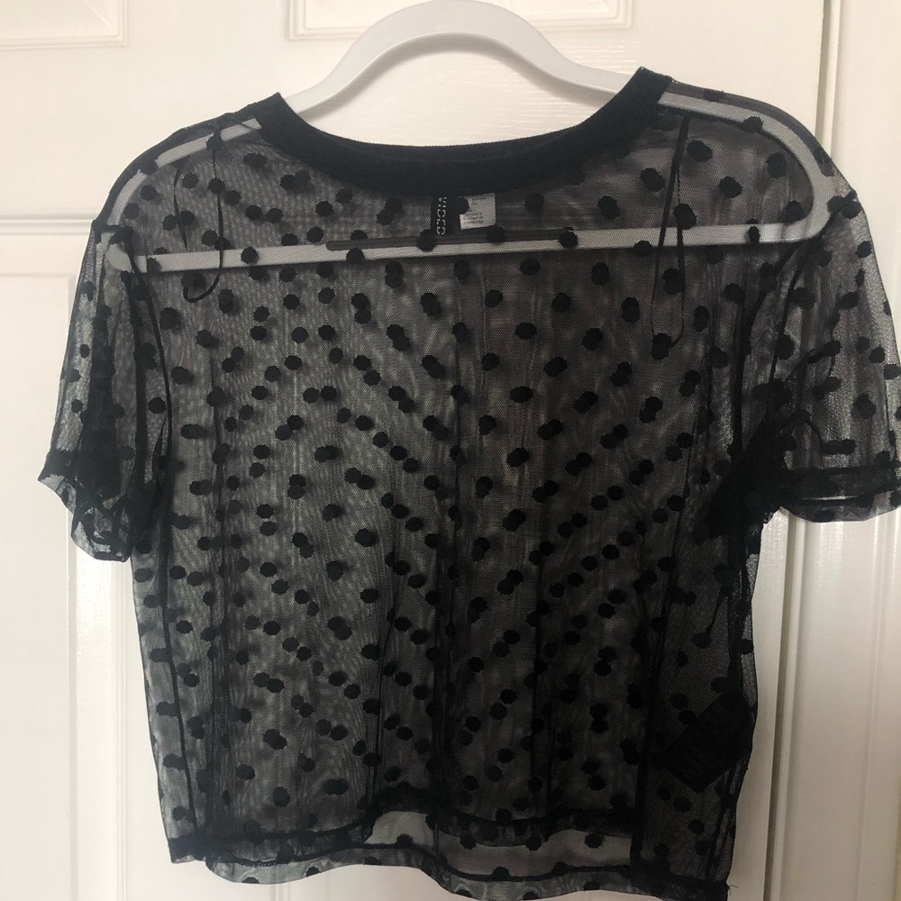 Sheer Mesh Dot Crop Top